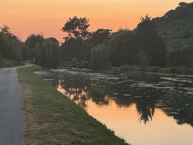 Saint-Jean-de-ThuracDomaine Du Noble住宿加早餐旅馆 外观 照片